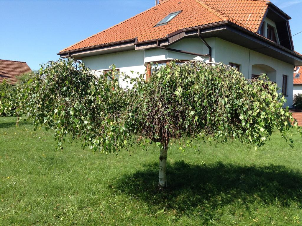 Landhaus Mit Garten Szczecin Bagian luar foto