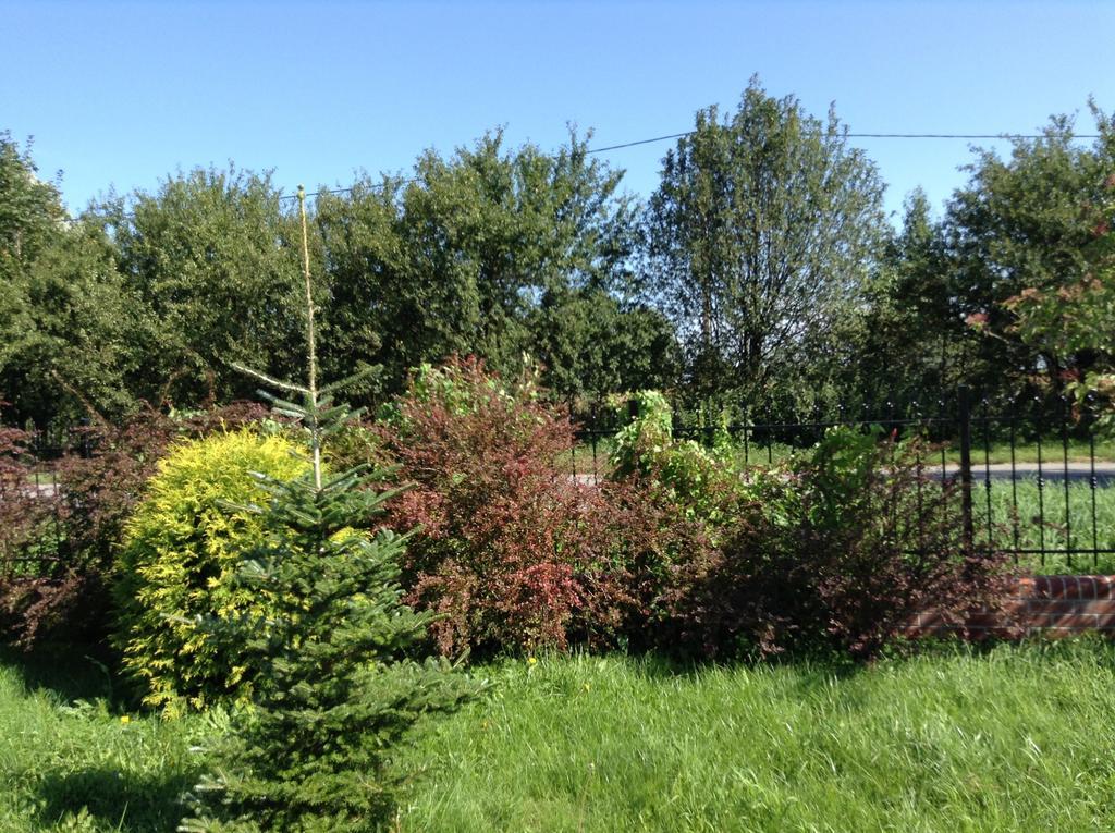 Landhaus Mit Garten Szczecin Bagian luar foto